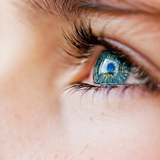 Eine Nahaufnahme des Gesichts einer Person, die ihr braunes Auge, ihre Augenbraue und den oberen Wangenbereich zeigt. Die Haut ist glatt, und die Wimpern sind lang und durch Mascara betont – ein Look, der in Beauty-Kampagnen als Leitbild für das „Marketing 2030“-Referenzmodell für zukünftiges Marketing dienen könnte.